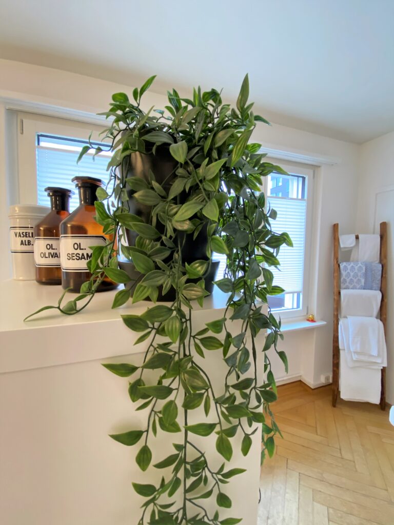 TCM Praxis Richle, General-Wille-Strasse 21, 8002 Zürich